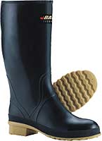 processor boots
