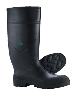 economy boots