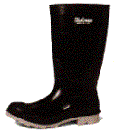 economy boot