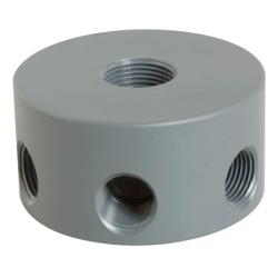 manifold