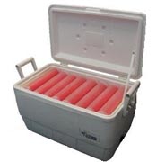 eggbox open