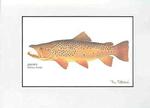 fish print - brown trout