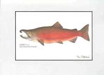 fish print - coho salmon