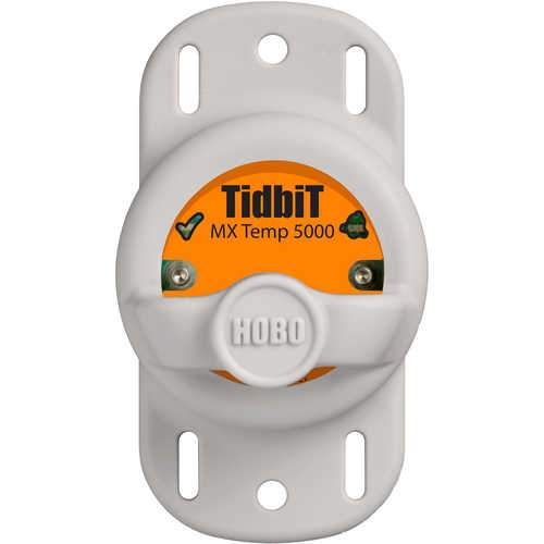 tidbit